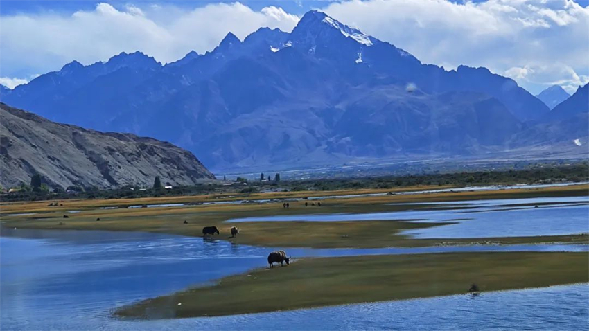 1730795932.jpg 微信圖片_20241105163758.jpg